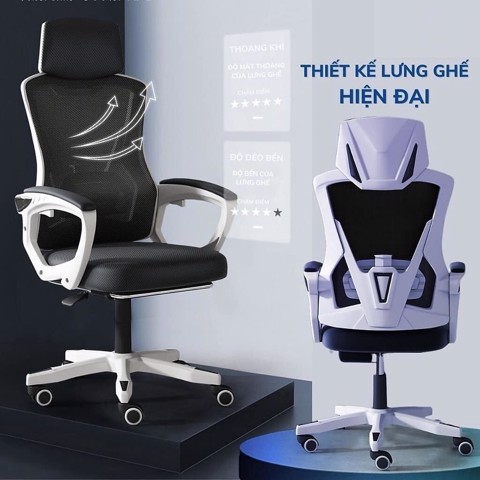Ghế Công Thái Học Cao Cấp TMS06
